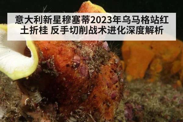 意大利新星穆塞蒂2023年乌马格站红土折桂 反手切削战术进化深度解析